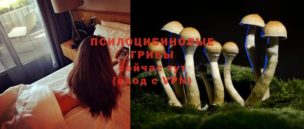 тгк Алзамай