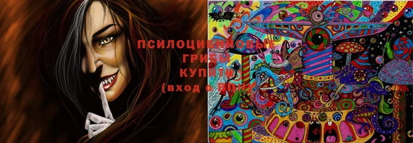 крисы Алексеевка