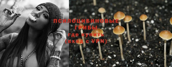 крисы Алексеевка