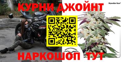 тгк Ногинск