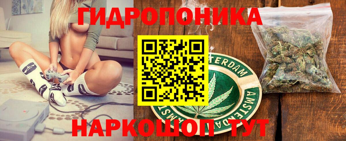 Каннабис гибрид  Шишки марихуана гибрид  Шишки марихуана VHQ  Вход с VPN  Асино  Конопля семена 